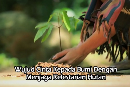 Wujud Cinta Kepada Bumi Dengan Menjaga Kelestarian Hutan