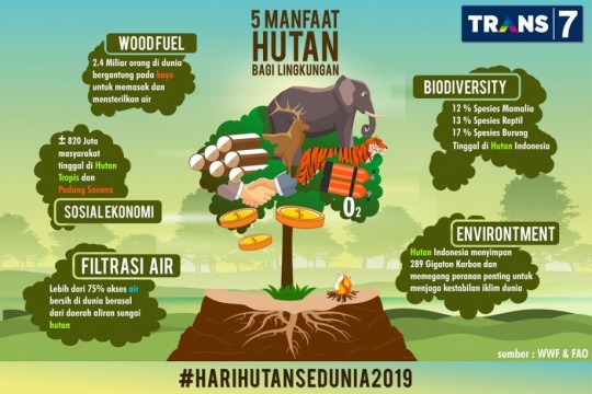 Yuk Mengenal Manfaat Hutan Di Hari Hutan Sedunia!