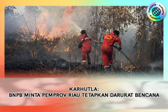 Karhutla : BNPB Minta Pemprov Riau Tetapkan Darurat Bencana