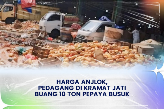 ⁠Harga Anjlok, Pedagang Di Kramat Jati Buang 10 Ton Pepaya Busuk