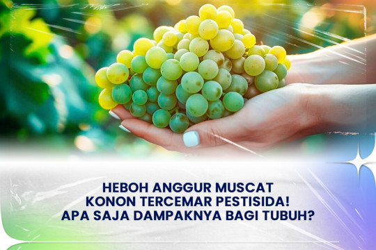 ⁠Heboh Anggur Muscat Konon Tercemar Pestisida! Apa Saja Dampaknya Bagi Tubuh?